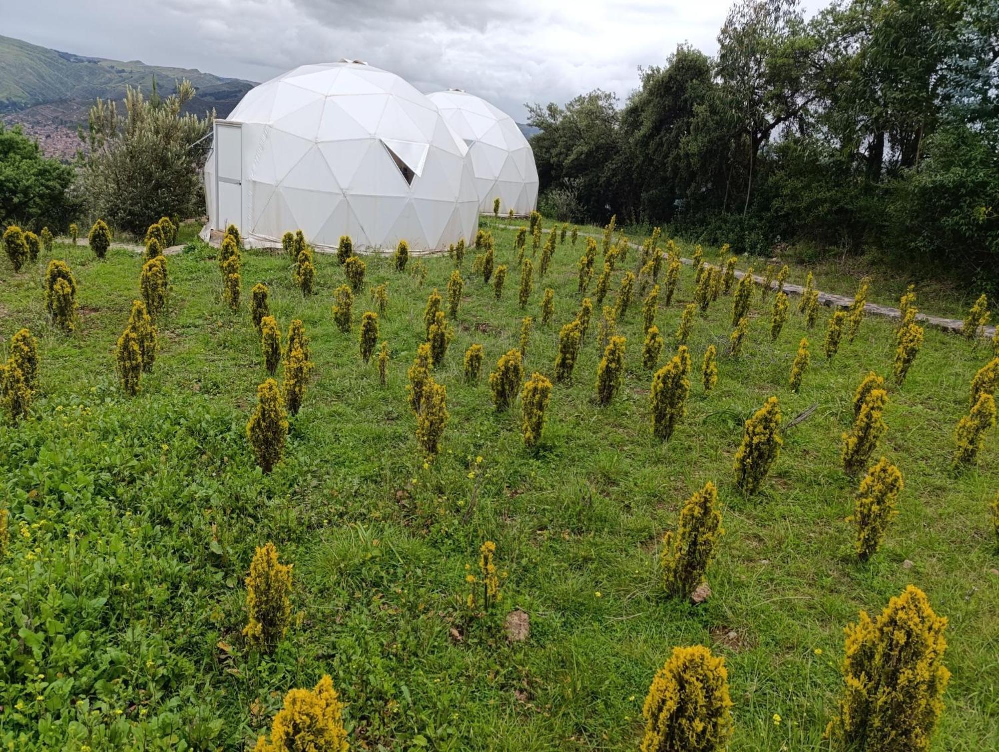 Domos Glamping & Nature Hotel